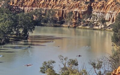 2026 Renmark Regatta